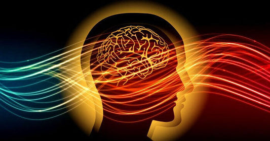 Flow Never Lies: Why Surfing, Foiling, and Riding Put You in the Zone